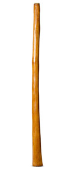 Gloss Finish Flared Didgeridoo (TW1205)